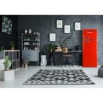 Snaige retrokülmik FR24SM-PRR50E