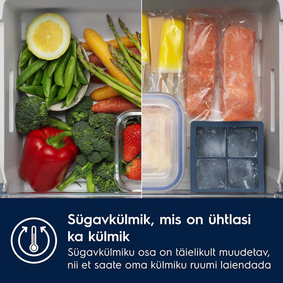 sügavkülmik või külmik