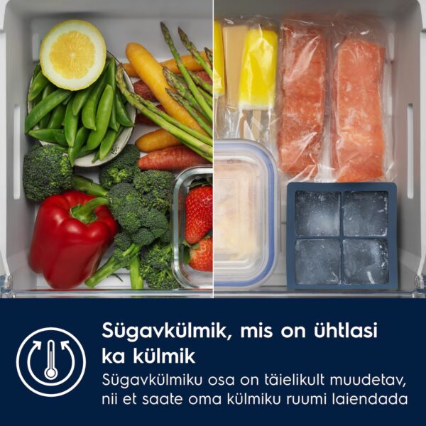 sügavkülmik või külmik