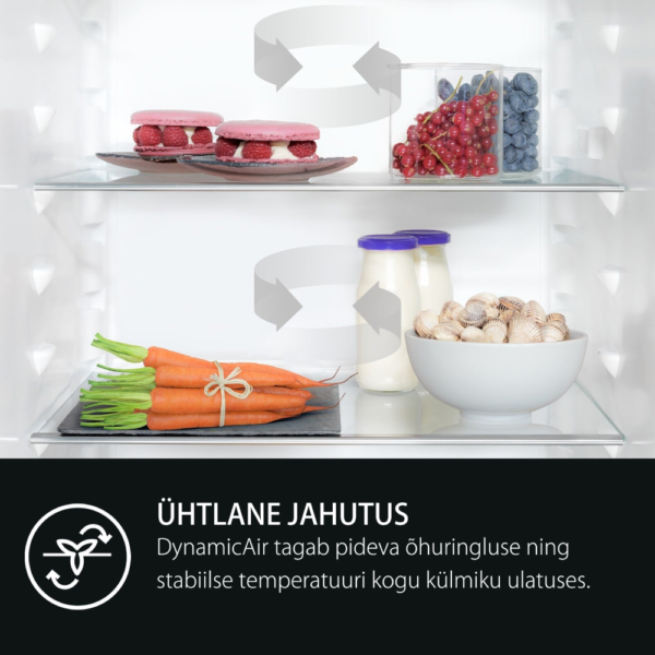 dynamic air ÜHTLANE JAHUTUS