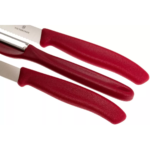 Koorimisnugade komplekt koos koorijaga Victorinox Swiss Classic 6.7111.31