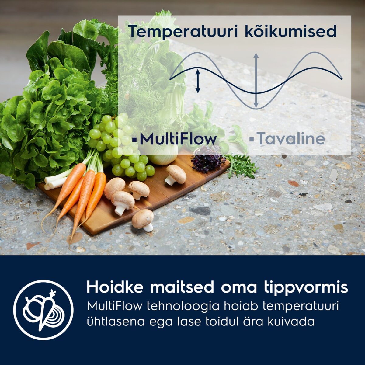 MultiFlow electrolux