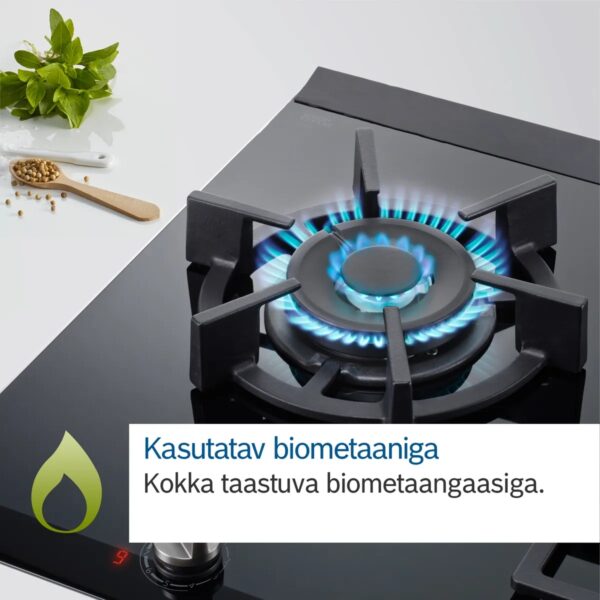 Bosch PRA3A6I10 wok gaasiplaat