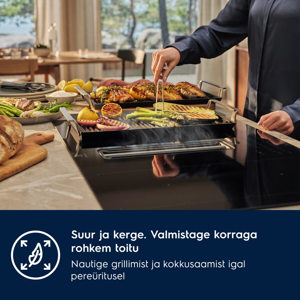 Plancha Grill Electrolux E9HHPG11