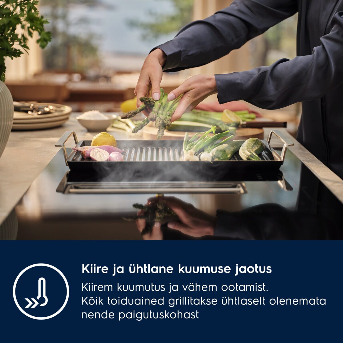 Plancha Grill Electrolux E9HHPG11 - Image 5