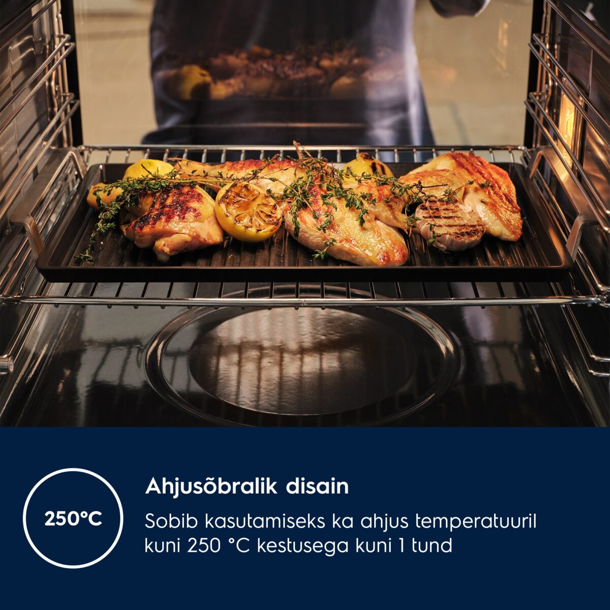 Plancha Grill Electrolux E9HHPG11