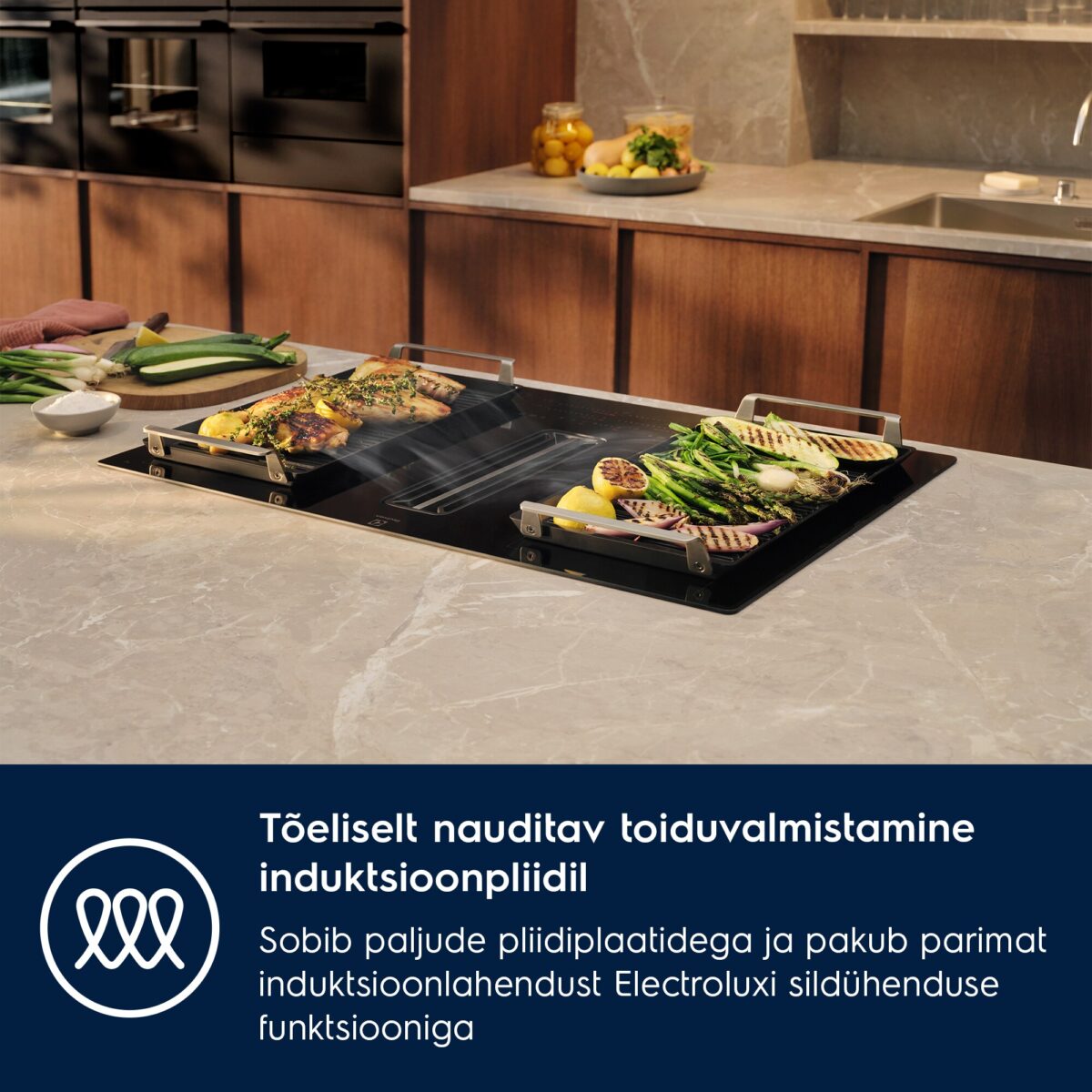 Plancha Grill Electrolux E9HHPG11