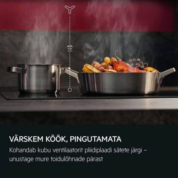 hob2hood aeg