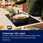 Electrolux ECC8549 pliidiplaat koos õhupuhastiga