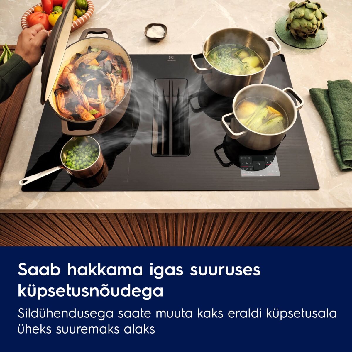 Electrolux ECC8549 pliidiplaat koos õhupuhastiga