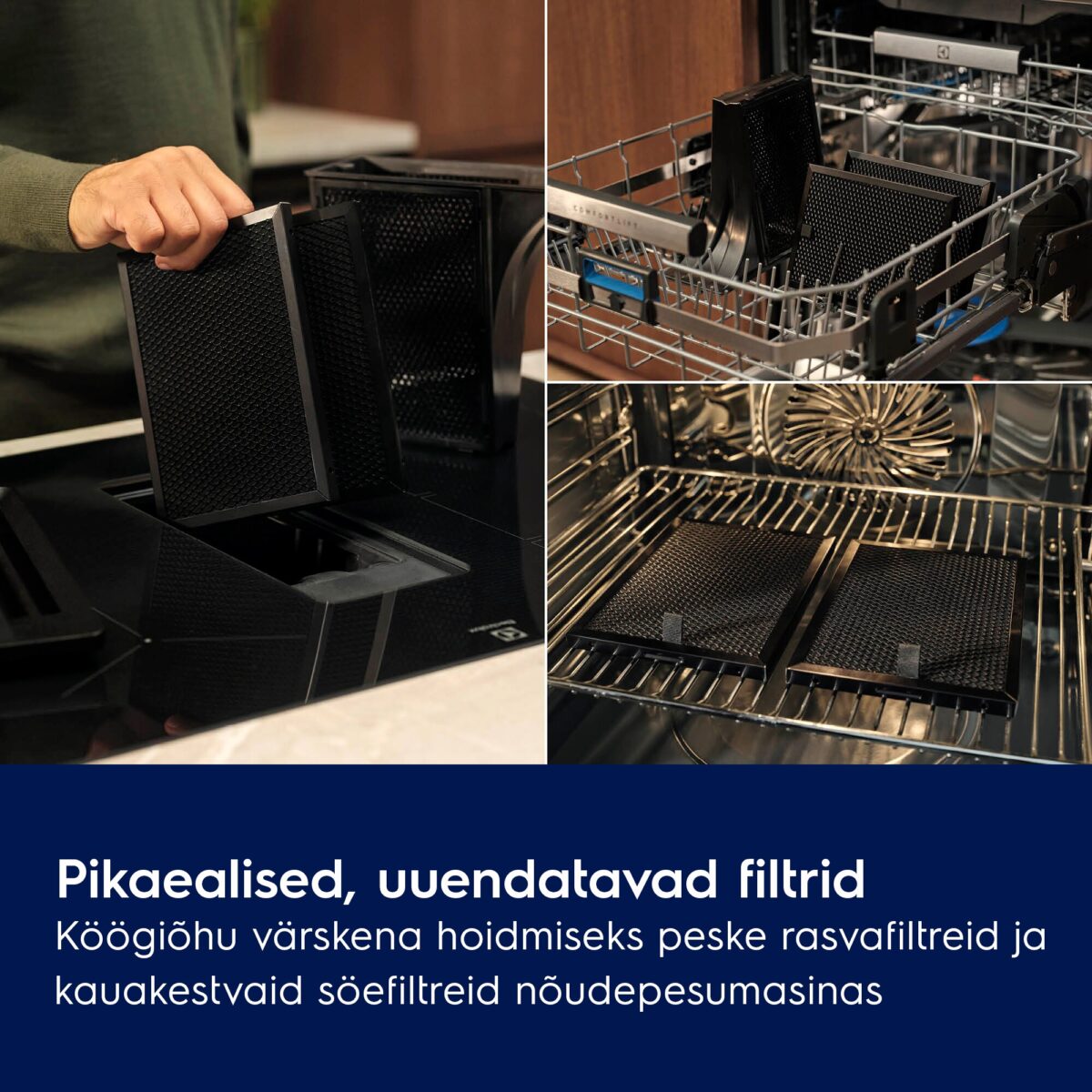 Electrolux pliidiplaat koos õhupuhastiga
