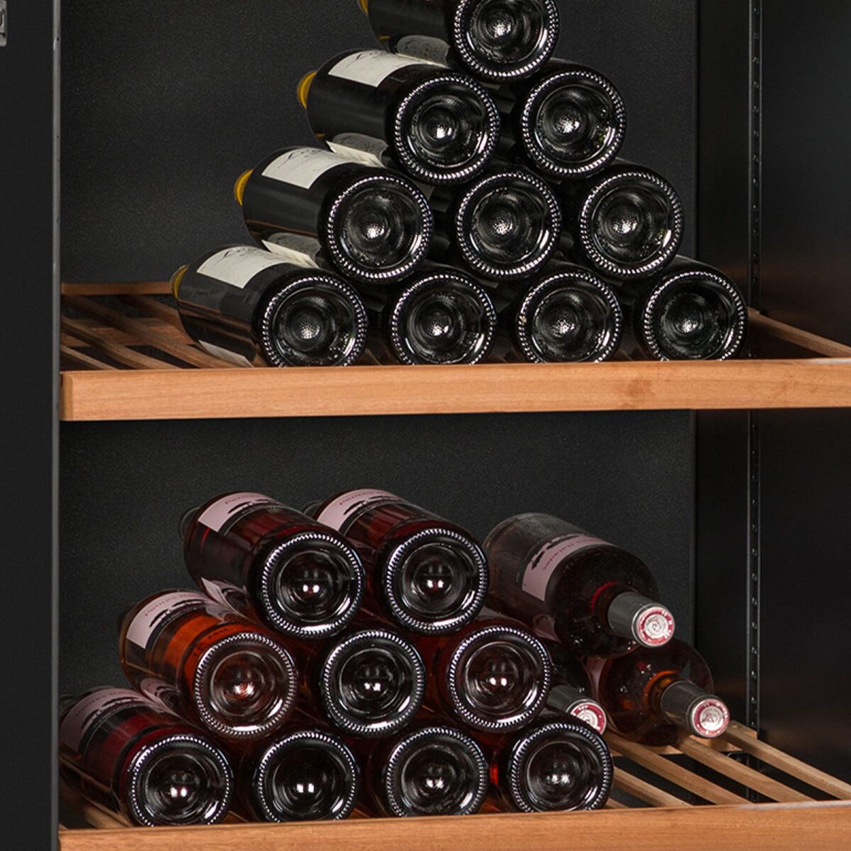 Avintage DIVA305 veinikülmik - Image 5