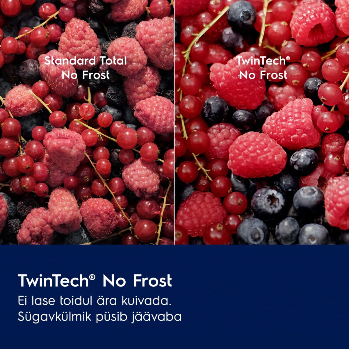 electrolux twintech nofrost egmer grupp