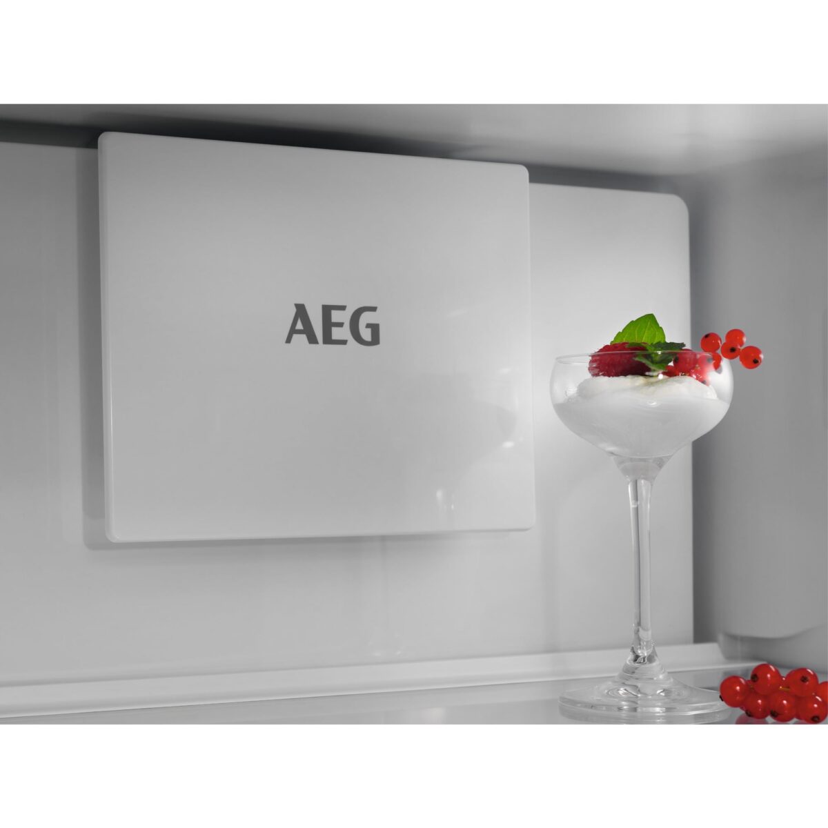 aeg külmiku ventilaator