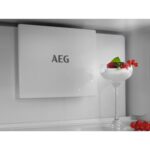 aeg külmiku ventilaator